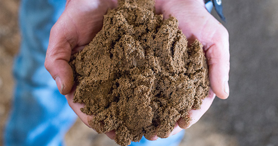 Fill Sand